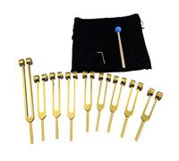 Pyugxab Aluminum Alloy Chakra Tuning Forks Set with Hammers for Healing, Sound Therapy, Meditation, Yoga Gold