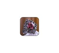 PZKQSAC Gothic Ruby Ring for Women Halloween Ruby Ring Asymmetrical Statement Open Band Ring Adjustable Non Tarnish Red Crystal Rings Fashion Halloween Jewelry, Alloy Steel, No Gemstone