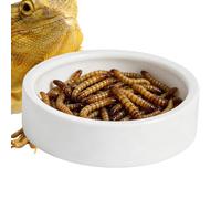 Pzmjwkyn Reptile Food Dish Ceramic Round Stable Bottom Anti-Escape