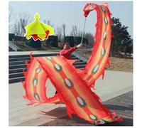 PZOFERLIN Dragon Dance Ribbons Longboi Phoenix Feather Dance Fitness Ribbon Weighted Ball Travel Bag(Red,12M)
