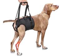 PZRLit Dog Lift Harness - Adjustable Sling Support for Large Dogs Hind Legs, Mobility Aid for Elderly Dogs - Hip & Back Leg Joint Injury Assistant Vest - Help Senior Disabled for Walking (Extra Large)