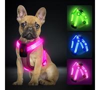 PZRLit Light Up Dog Harness for Small Dogs Rechargeable, LED Dog Vest Harness, Adjustable Illuminated Glow in Dark Dog Harness for Puppy Night Safety Walking 360° True Illumination-Pink