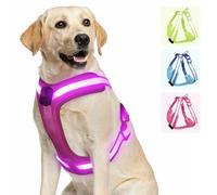 PZRLit Luminous Dog Harness, Luminous Harness for Dogs, Rechargeable, Luminous Dog Harness, LED, Light Harness for Dogs, Reflective with Light, Safety in the Dark, Pink, Medium