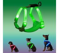 PZRLit Rechargeable Light Up Dog Harness for Small Dogs, No-Pull LED Dog Vest Harness, Glow in The Dark Puppy Harness with Reflective Strips, Flashing Steady Light for Night Walking Safety (green)
