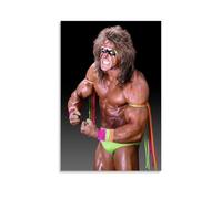PZYASX The Ultimate Warrior Waterproof Poster Wall Painting Canvas Decorative Painting Suitable for Office Bedroom Decoration Living Room Poster 20x30inch(50x75cm) Unframe-style