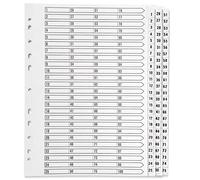 1-75 Index Multi-Punched Reinforced Board Clear Tab A4 White