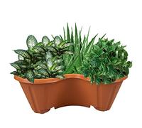 Q&H Trio Planters Garden Strawberry Terracotta Stacking Pots - Plastic Plant Pot for Patio Gardens Herb Flower Raised Bedding - Indoor Outdoor Seed Planting Vertical Planters Gardening Boxes Yard