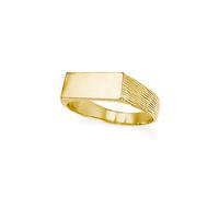(Q) Jewelco London Unisex Solid 9ct Gold Engravable Barked Initial Blank Plate Signet Ring - JIR004