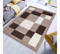 Q style Soft & Thick Modern Havana Large Rugs for Living Room Bedroom Polypropylene Geometric Design Beautiful Carpet Hall Runner Rug Washable Indoor Kitchen Hallway Floor Mat (Beige brown, 60x220 cm)