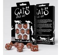 Q-Workshop QWOCAT72 Dice