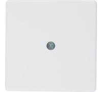 Q.X MODULE WHITE PLATE FOR CABLE CONNECTION Q.1 10196089