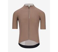 Q36.5 Dottore Pro Jersey short sleeve brown - M