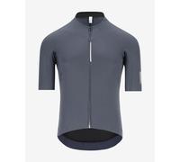 Q36.5 Dottore Pro Jersey short sleeve dark grey - XL