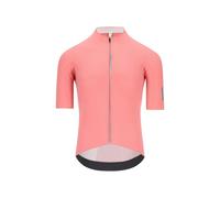 Q36.5 Dottore Pro Short Sleeve Jersey Pink XL Men XL Giro Pink