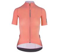 Q36.5 Dottore Pro Short Sleeve Jersey S Ancient Pink