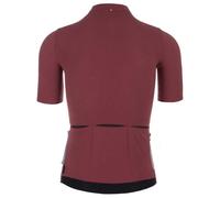 Q36.5 Dottore Pro Short Sleeve Jersey XS Siena