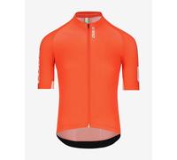 Q36.5 Gregarius Pro Signature Jersey short sleeve orange - XXL