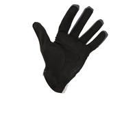 Q36.5 Hybrid Gloves M Ice Grey