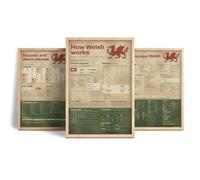 QArtisan Welsh for Beginners Art Prints Set of 3, Sounds and Place Names, Everyday Phrases, How the Language Works Charts with Red Dragon, Unframed