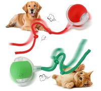 QarulG 2PCS Interactive Dog Cat Ball, Smart Self Moving Rolling Ball Toy with Tail for Indoor Small Dogs Cats Pet, 360° Automatic Electric USB Rechargeable, Active Play and Chase Red Green