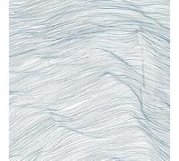 Qasim Naqvi, Wadada Leo Smith, Andrew Cyrille - Two Centuries