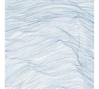 Qasim Naqvi, Wadada Leo Smith, Andrew Cyrille - Two Centuries [VINYL]