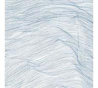 Qasim Naqvi, Wadada Leo Smith, Andrew Cyrille - Two Centuries [VINYL]