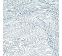 Qasim Naqvi, Wadada Leo Smith, Andrew Cyrille - Two Centuries [VINYL]