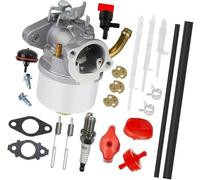 QASULER Carburetor Assembly Compatible with Ariens 921022 Deluxe 28 Snow Blower Two Stage 249cc BS Engine Carb Excavator Carburetor