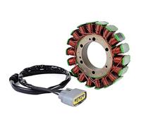 QASULER Motorcycle Generator Stator Coil, for Triumph, Rocket III 2300 Touring Classic Roadster 2006-2018 T1300450 Engine Parts Coil Motorcycle Ignition Pick-Up Coil