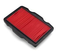 QASULER Motorcycle Replacement Engine Air Filter Cleaner CB125F Intake Element, for GLR125 2015-2019 Motorcycle Air Filter Replacement