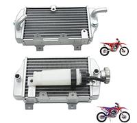 QASULER Motorcycle Tank Radiator Water Container, for BOSUER M6 J1 Water Cooled CB300cc Cross Country Motorcycle Radiator(A set of)