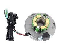 QASULER Stator Coil,for RM125 RM250 RM 125 250 32101-28C00 32101-01B30 32101-01B31 32101-28C01 32101-28C03 Generator Magneto Coil Motorcycle Ignition Pick-Up Coil