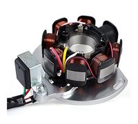 QASULER Stator Coil,for SM125 SM250 EC125 EC200 EC250 EC300 Wild HP 300 2003-2004 Ignition Generator Magneto Coil SM EC 125 250 Motorcycle Ignition Pick-Up Coil