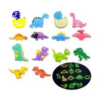 Qaziuy 14 Piece Shoe Charms Croc Plug Set Luminous in the Dark Cartoon Dinosaur Croc Pin Glitter Croc Accessories Cute Shoe Charms for Children, Girls and Boys Party Gifts, Polyvinyl Chloride