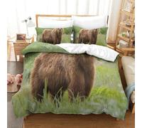 QazwYu Grizzly Duvet Cover Set 3D Bedding Set 3 Pieces Ultra Soft Microfiber Polyester Comforter Cover Grizzly Theme Quilt Cover with Zipper Closure King(220x240 cm)
