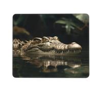 QAZWZML Comfortable mouse pad suitable for companies and internet cafes | Comfortable Wild beasts in the water 7.9 x 9.5 in printed mouse pad suitable for companies and internet cafes