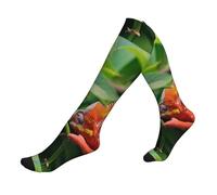 QAZWZML Cute Chameleon patterned elastic calf 1 Black compression socks for climbing, hiking and biking