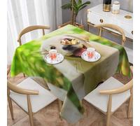 QAZWZML Funny Labrador Puppy Dog Patterned decorative tablecloth, 60x60 inch square, suitable for kitchen and outdoor dining.