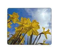 QAZWZML Yellow Daffodil Printed Desktop Mouse Pad Desktop Gaming Mouse Pad Suitable For Office And Gaming 10 x 12 inch