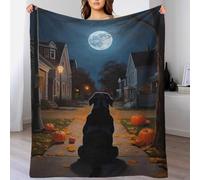 QBIREX Black Lab Halloween Night Street Easy-Care Big Fluffy Blanket Couch Sister Blanket from Sister Gift for Women 40x50inch(100x130cm)