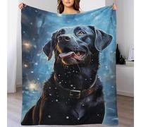 QBIREX Black Labrador in Winter Soft Plush Big Throw Blanket for Camping Mum Blanket from Daughter Birthday Presents for Grandma 40x50inch(100x130cm)