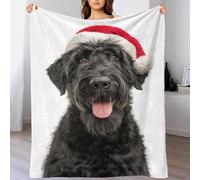 QBIREX Black Russian Terrier Dog with Santa Hat Blanket Soft Daughter Blanket from Mum And Dad for Bed for Adults Kids 60x80inch(150x200cm)