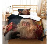 QBIREX Christmas Pictures Bedding Set for Children 3d Print Pattern Comforter Cover 3 PCS Duvet Cover Ultra Soft Silky Microfiber Single（135x200cm）