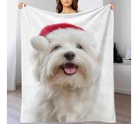 QBIREX Cute Coton De Tulear Dog with Santa Hat Bed Blanket Double Microfiber Single Blanket for Chair Men 60x80inch(150x200cm)