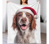 QBIREX Irish Red And White Setter Dog with Santa Hat Portrait Blanket for Winter Plush Personalised Baby Blanket for Settee Kid 60x80inch(150x200cm)