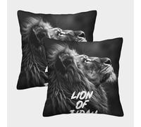 QBIREX 'Lion of Judah' Poster, Picture, Metal Print, Paint by The Creative Hub Pillow Covers Pack of 2 Hotel Quality Hypoallergenic Cheap Pillows for Couch 40x40cm