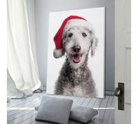 QBIREX Mom You Are The Queen Artwork for Living Room Animal Lovers Canvas Art for Rustic Bath Decor 08x12inch(20x30cm)