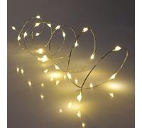 Q attery Operated Fairy Lights, Micro Warm White LEDs, Wire Lights with Timer (20 LED)
