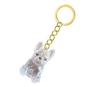 Qcbuegof 2. Lightweight Pet Memorial Keychain Compact Clear Case For Dog Hair & Cremation Ashes Storage On-the-Go Clear Memorial Box Remembrance Keychain Loss Sympathy Gift